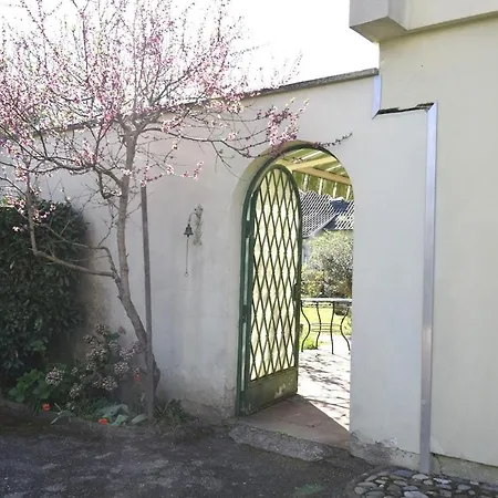 Dad'S House