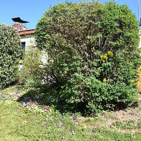 Dad'S House בית נופש